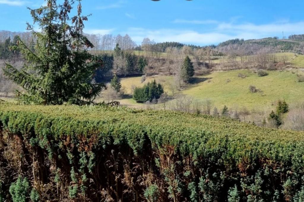 Ferienwohnung Aartalblick Willingen 빌링겐 외부 사진